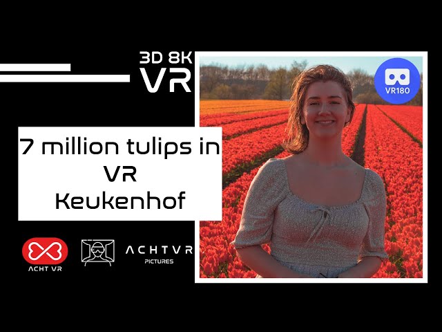 Experience 7 million flowers in 3D VR Keukenhof - Tulip Fields Netherlands