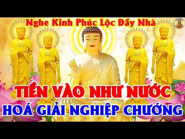 Sáng Mùng 6 Âm Tụng Kinh Cầu An Sám Hối Tiêu Trừ Tai Hoạ Cả Nhà MẠNH KHOẺ BÌNH AN Tài Lộc Chật Két