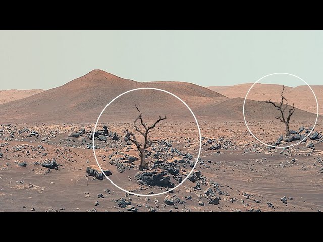 NASA Mars Rover Reveals Incredible Footage of Mars Sol 1196! Perseverance and Curiosity' Mars In 4K