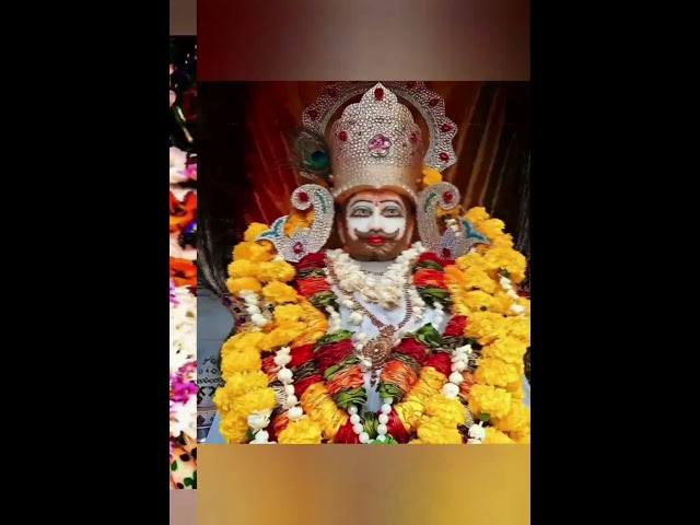 Mere Shayam baba#khatubaba#nisha ki duniya#vural video#prayagraj