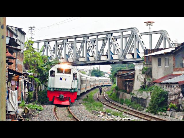 CC 204 03 02 YK feat KA SRI TANJUNG | Lempuyangan - Surabaya Kota - Ketapang Melintas JPL 6 Kapasari