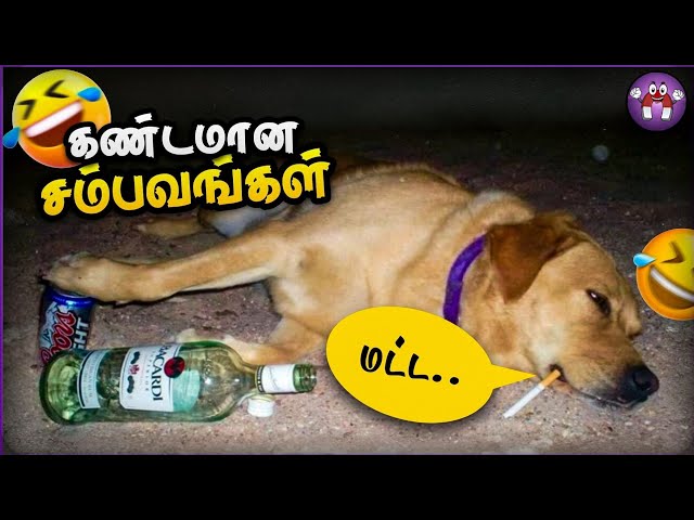 மொரட்டு சிரிப்பு சம்பவங்கள் | Random Funny Moments | TMF 2.0