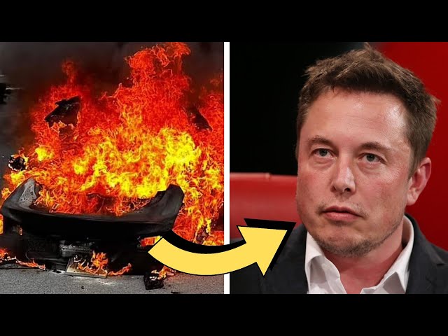 Elon Musk to CONTROL your money