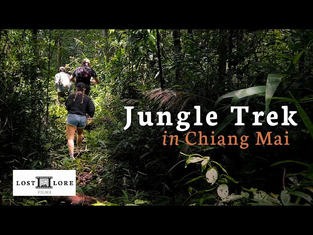 Chiang Mai Jungle Trek to Visit a Karen Hilltribe 🇹🇭  Doi Inthanon National Park, Thailand