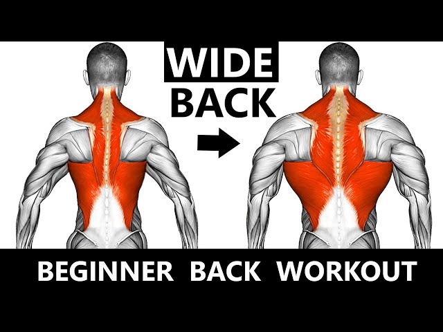 BEGINNER BACK WORKOUT  MUSCLE BUILDING WORKOUT