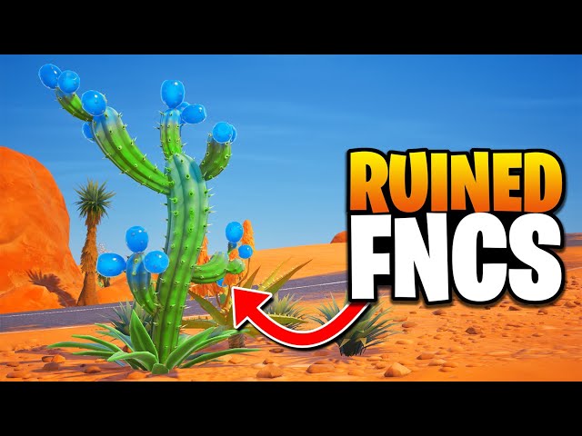 How A Cactus “Ruined” FNCS