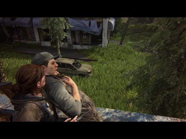 The Last of Us Part II PS5 Speedrun