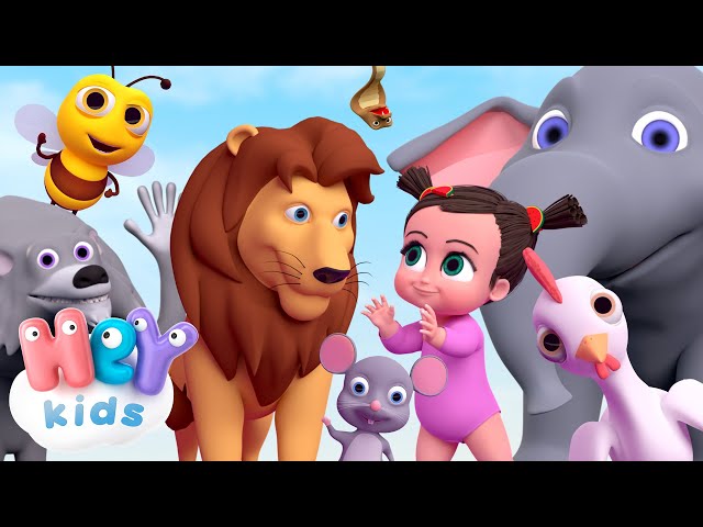 Les animaux pour bébé | son des animaux | HeyKids - Chansons pour enfants