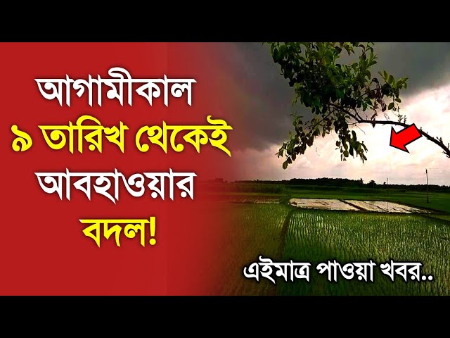 আবহাওয়ার খবর আজকের, 8 February 2025, Bangladesh Weather Report