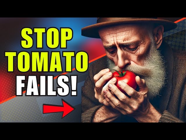 Never make these 9 MISTAKES when eating TOMATOES again! (Doctor Explains!) 99% of People Don’t Know!