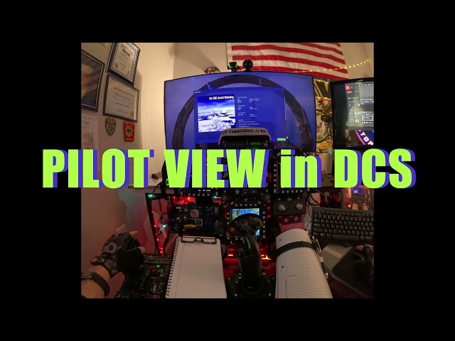 PILOT VIEW in DCS.