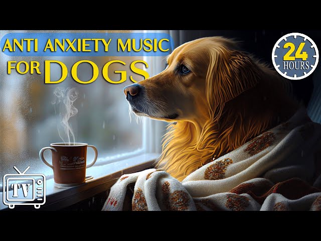 24 Hours of Music for Dogs Who are Alone: Cure Separation Anxiety & Calming Stress Relief for Dogs