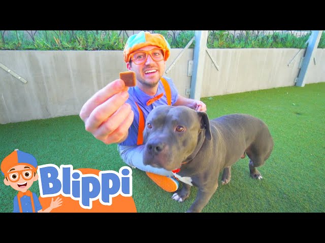 Blippi Learns About Animals For Kids At The Animal Shelter | Educational Videos For Toddlers