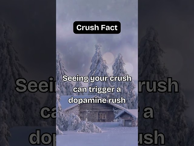 Surprising Fact About Crushes You Didn't Know!