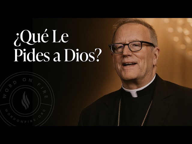 ¿Qué Le Pides a Dios? — Sermón del Domingo del obispo Robert Barron