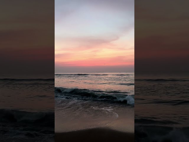 Relaxing Video of a Sunrise Beach #shorts