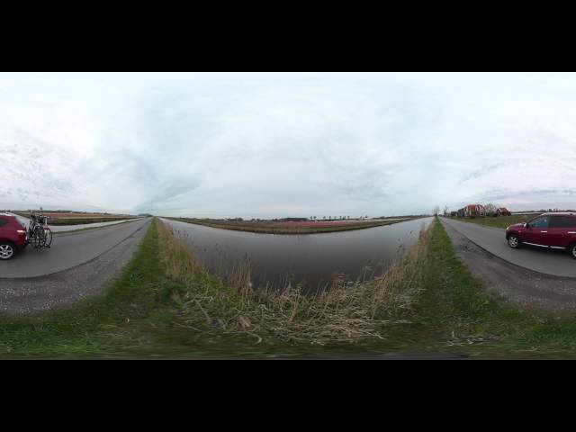 Flowersfields  in netherlands