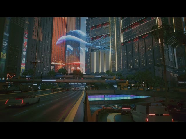 Cyberpunk 2077, Memorial Park holographic fish ambience