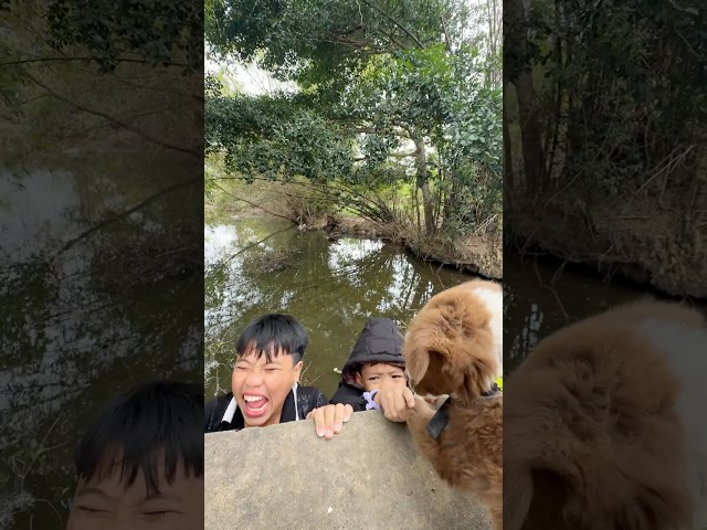 Hero Dog Saves Two Kids Who Fell Off a Cliff! 🐶❤️