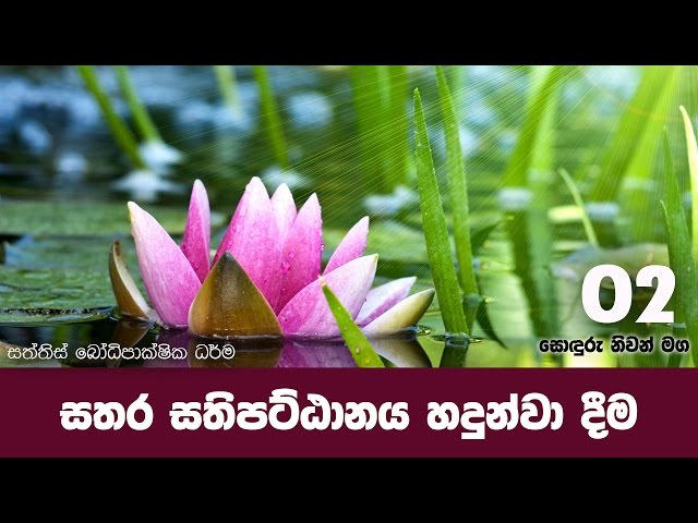 sonduru niwan maga 2 | සතර සතිපට්ඨානය හදුන්වා දීම | Shraddha TV