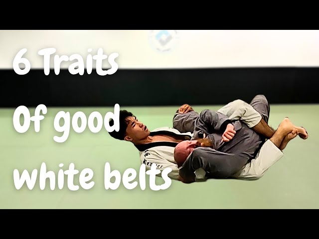 What a Good BJJ White Belt SHOULD Look Like