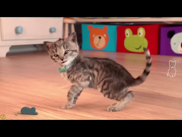 ♥Little Kitten♥ My Favorite Cat! Cute Kitten Pet Care Animation Mini Games For Kids