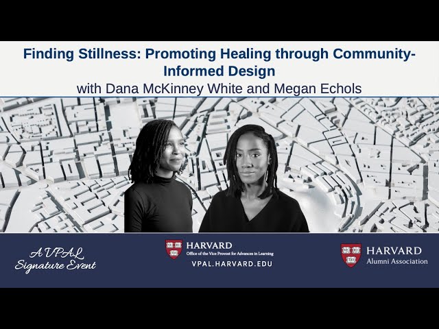 Finding Stillness: Promoting Healing through Community-Informed Design