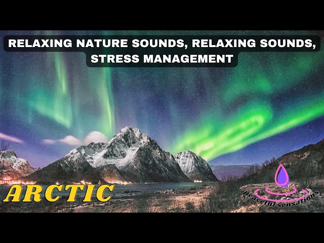 peaceful music before sleep, relaxing nature sounds, relaxing sounds, stress management