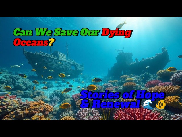 Can We Save Our Dying Oceans? | Stories of Hope & Renewal 🌊🐠