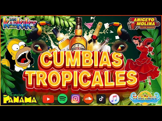 CUMBIAS TROPICALES PARA BAILAR🌴FITO OLIVARES, LOS KARKIKS, ACAPULCO TROPICAL🍹CUMBIAS VIEJITAS 2025