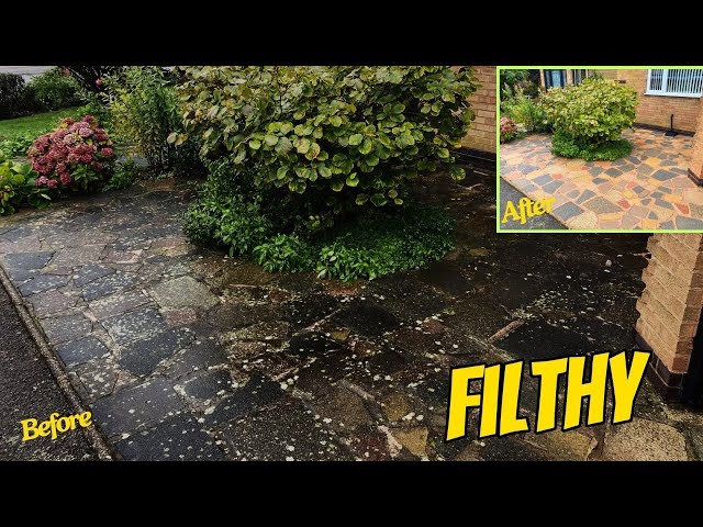 I Transformed This Patio & Discovered Some Absolutely Beautiful Colours !