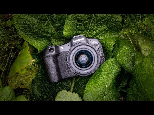 7 Best Budget Mirrorless Cameras In 2025