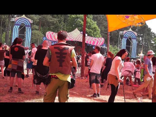 Psychedelic-Experience Festival 2016 ( HD)