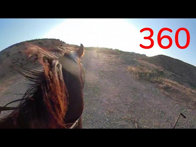 360 Horse Riding Adventure #49 - Galloping In The Countryside - 360° VR 4K - GoPro Fusion