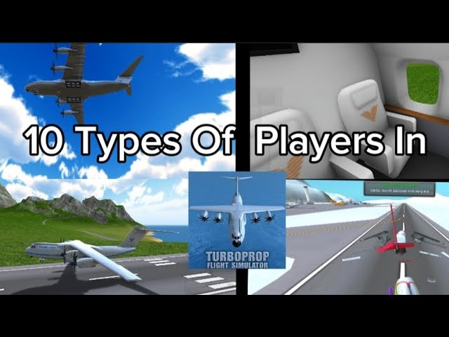 10 Types Of Players In TFS || Turboprop Flight Simulator