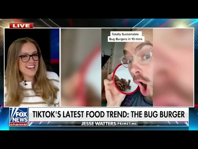 bug burger on fox