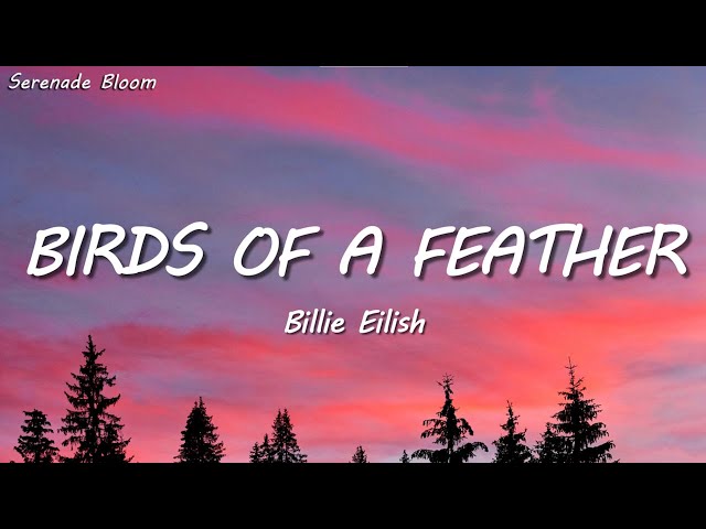 Billie Eilish - BIRDS OF A FEATHER (Lyrics)