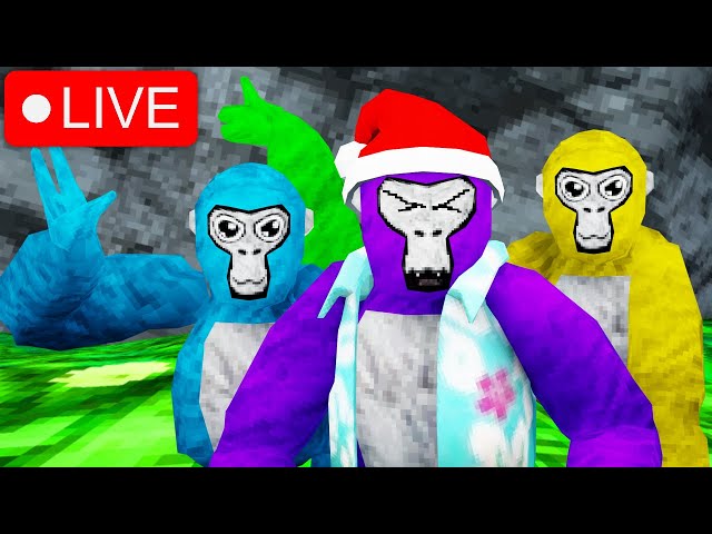 🔴Gorilla tag live🔴fan codes and more...