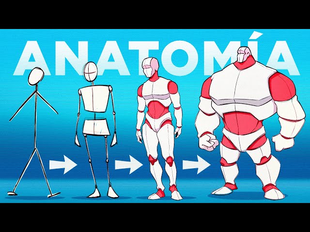 ⭐Learn to DRAW FULL ANATOMY in Just 1 VIDEO⭐