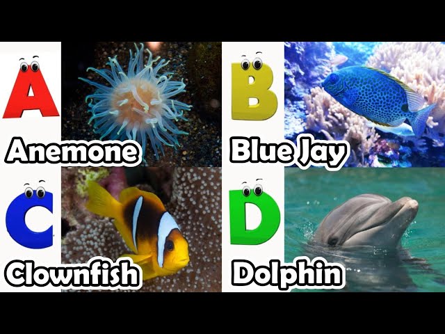 ABC phonics animals | ABC Sea Animals song | English and Animals for Kids | Alphabets Kids Song