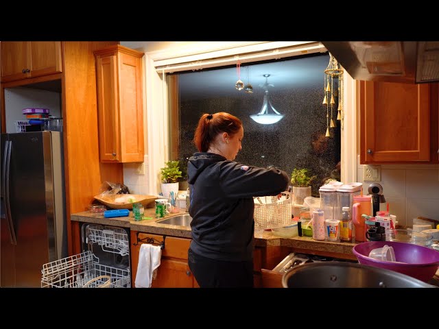 Real time kitchen cleaning * No music, just cleaning sounds * Body Doubling