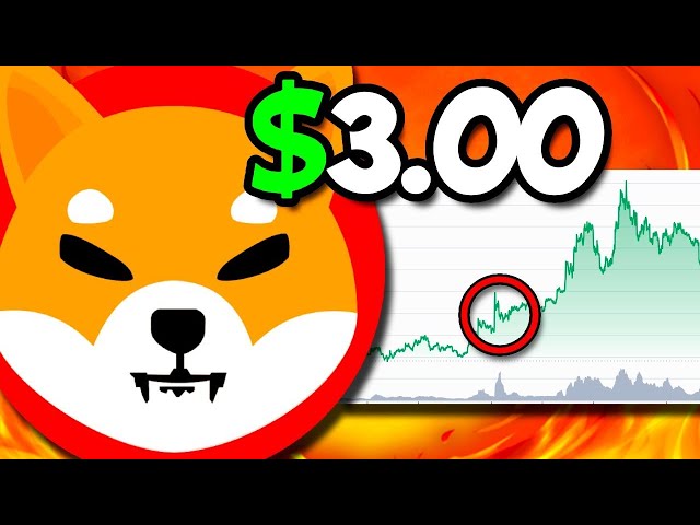 YOU WON’T BELIEVE THIS SHIBA INU PRICE PREDICTION!! ($3.00 OVERNIGHT!?) - SHIB NEWS