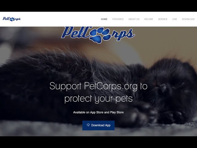 PetCorps  Shopify ecommerce store development