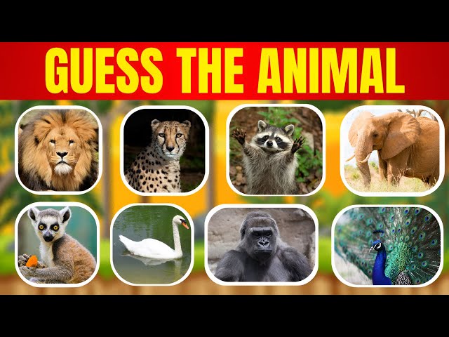 Animal  Quiz Challenge – Test Your Knowledge!