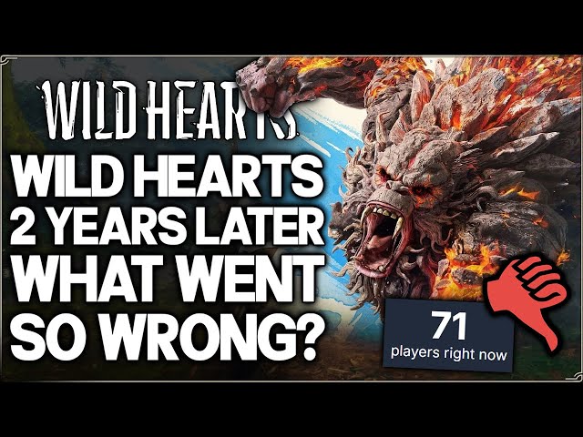 Wild Hearts After 2 Years... (What Went Wrong?)