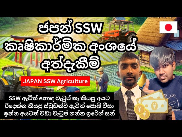 SSW ඇවිත් සුපිරි පඩියක් ගන්න හැටි | SSW Visa Agriculture | Japan work visa | Sinhala #workinjapan