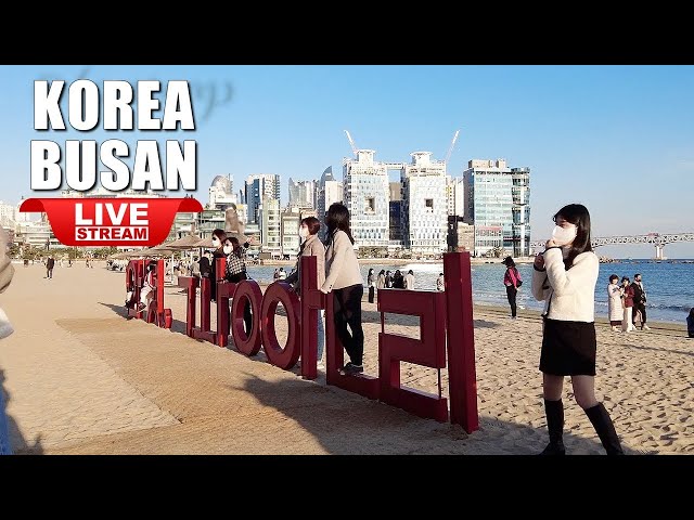 Live Korea Seoul 🇰🇷 Walk Tour Korea | Busan Gwangalli Beach Night Walking Tour Korean Food Street