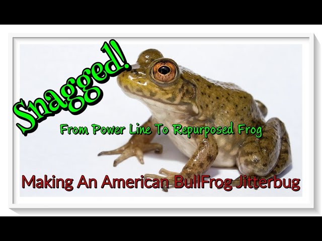 SNAGGED! From Power Lines To Repurposed Jitterbug BullFrog