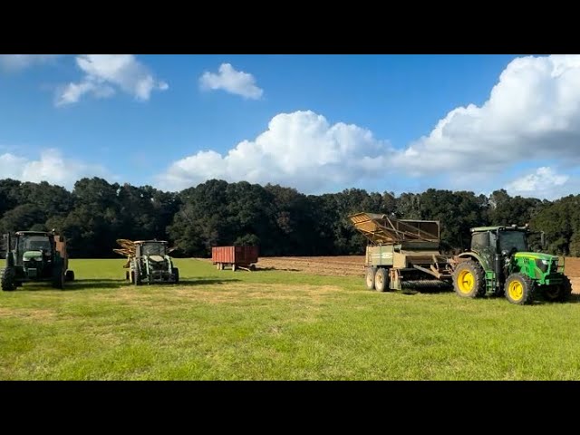 Picking peanuts in south Alabama