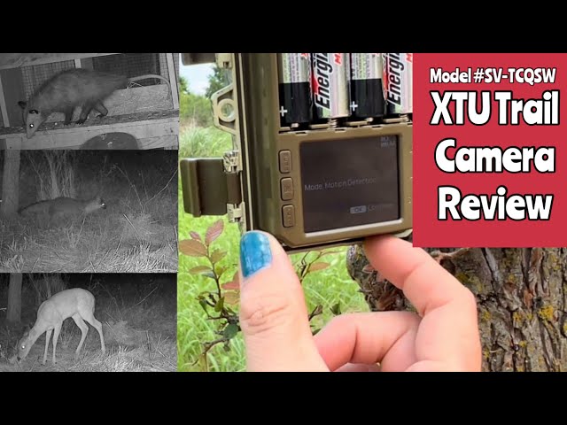 XTU Trail Camera Model #SV-TCQSW Review June/July 2024 #wildlife